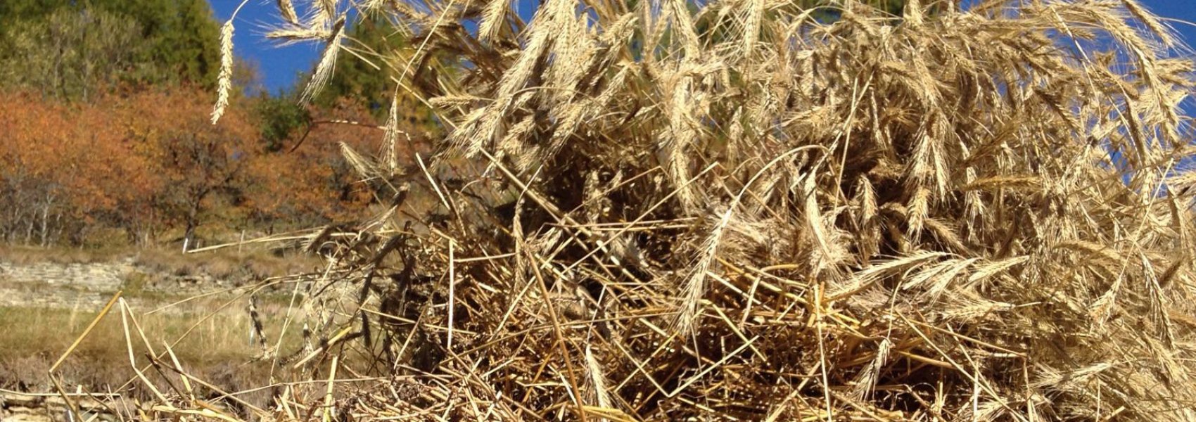 Stadel in Törbel - Freilichtmuseum Urchigs Terbil