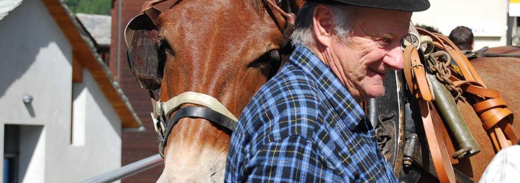 Einweihung Gattersäge 2012