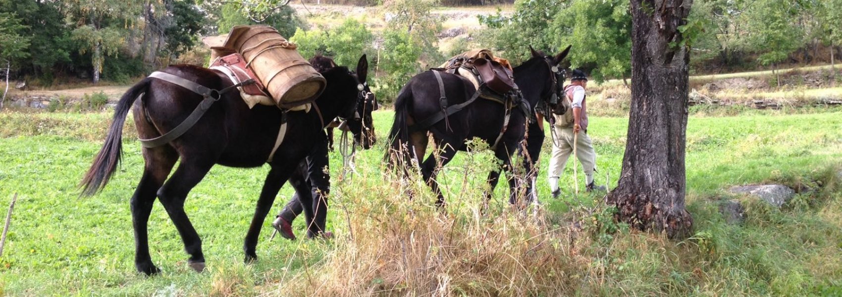 Von der Traube zum Wein 2016