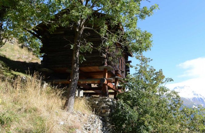 Stadel in Törbel - Freilichtmuseum Urchigs Terbil